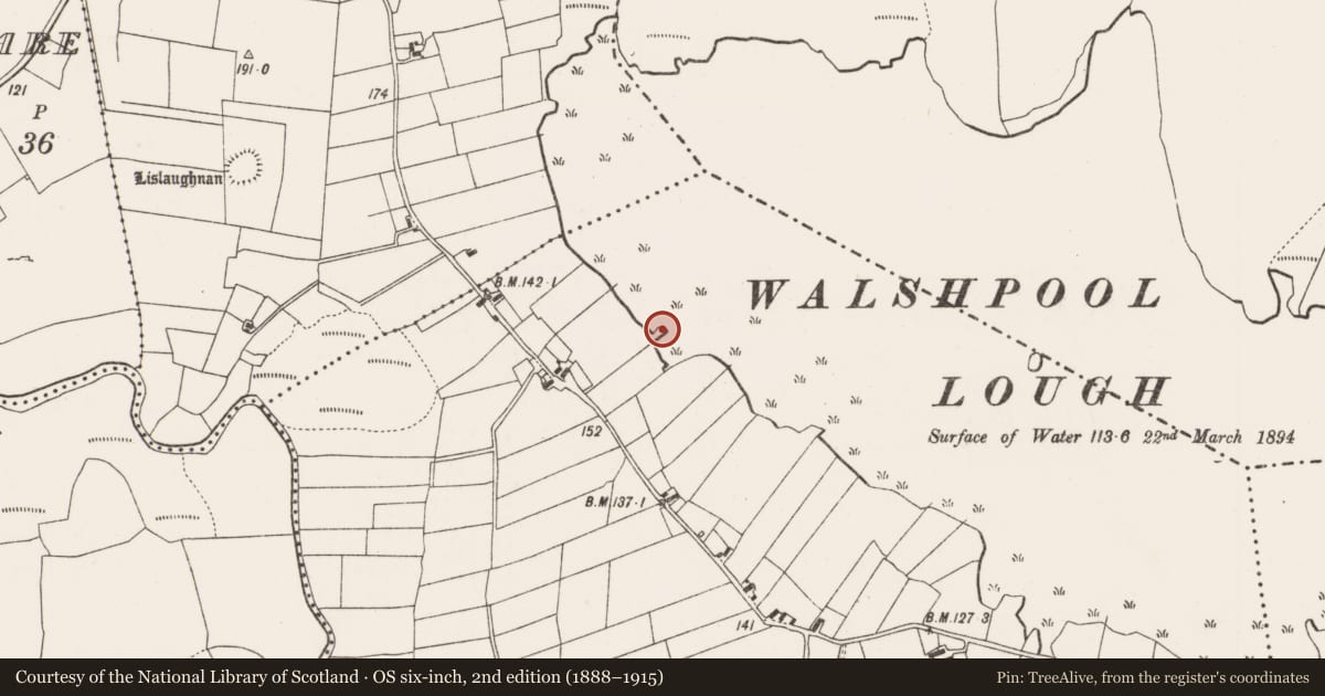 Ordnance Survey six-inch map, 2nd edition (1888–1915) covering the location of Crannog, Walshpool, County Mayo, with a pin at the register's coordinates