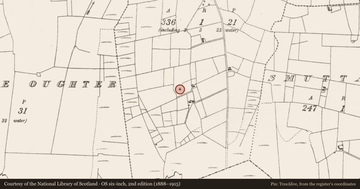 Ordnance Survey six-inch map, 2nd edition (1888–1915) covering the location of Enclosure, Lisnolan, County Mayo, with a pin at the register's coordinates