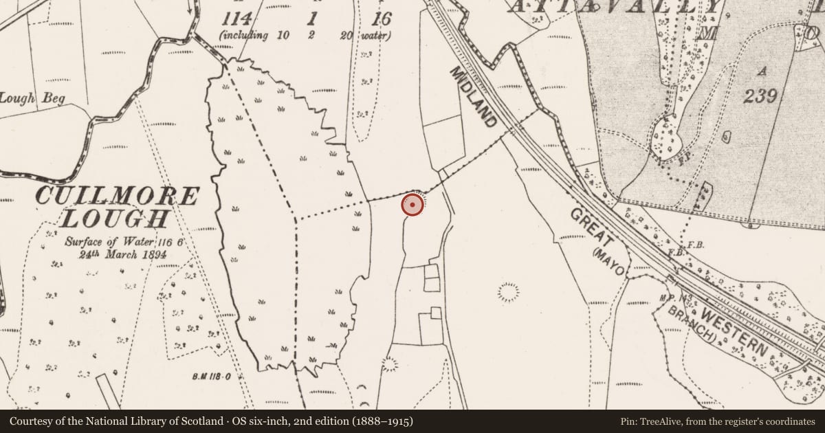 Ordnance Survey six-inch map, 2nd edition (1888–1915) covering the location of Ringfort - rath, Tully More, County Mayo, with a pin at the register's coordinates