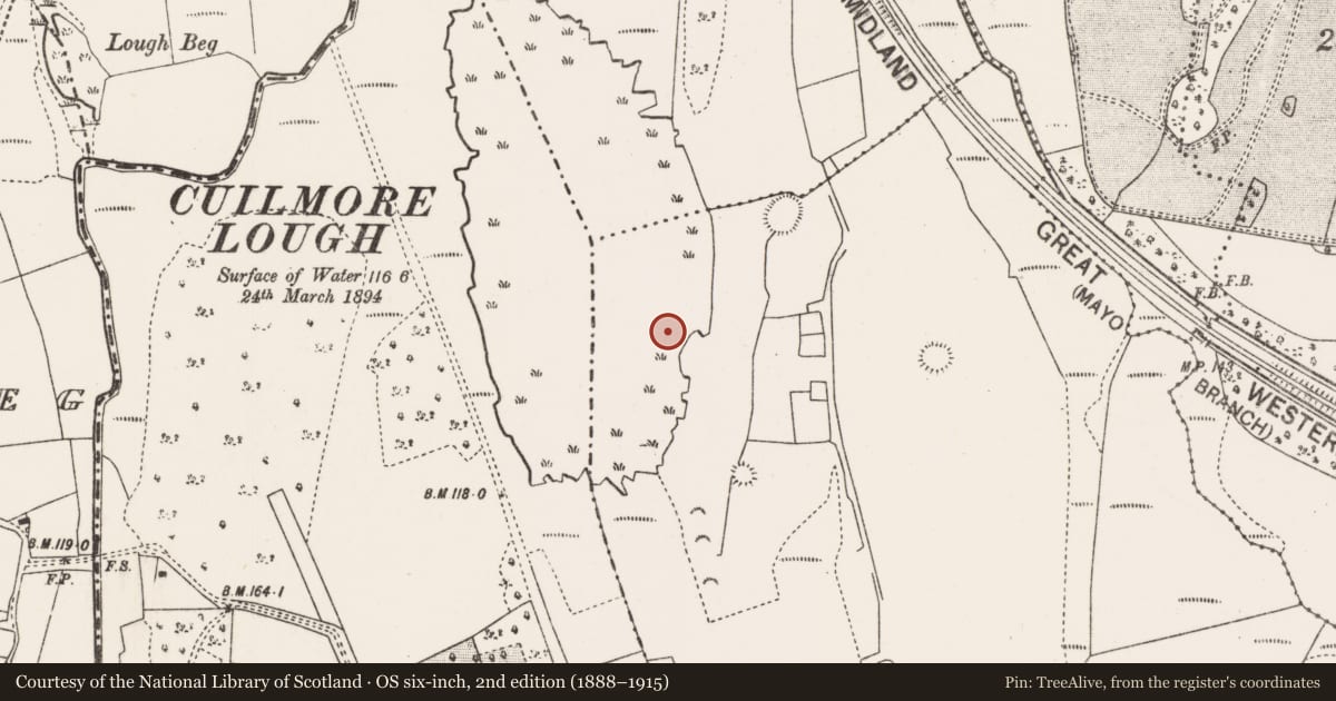 Ordnance Survey six-inch map, 2nd edition (1888–1915) covering the location of Crannog, Tully More, County Mayo, with a pin at the register's coordinates