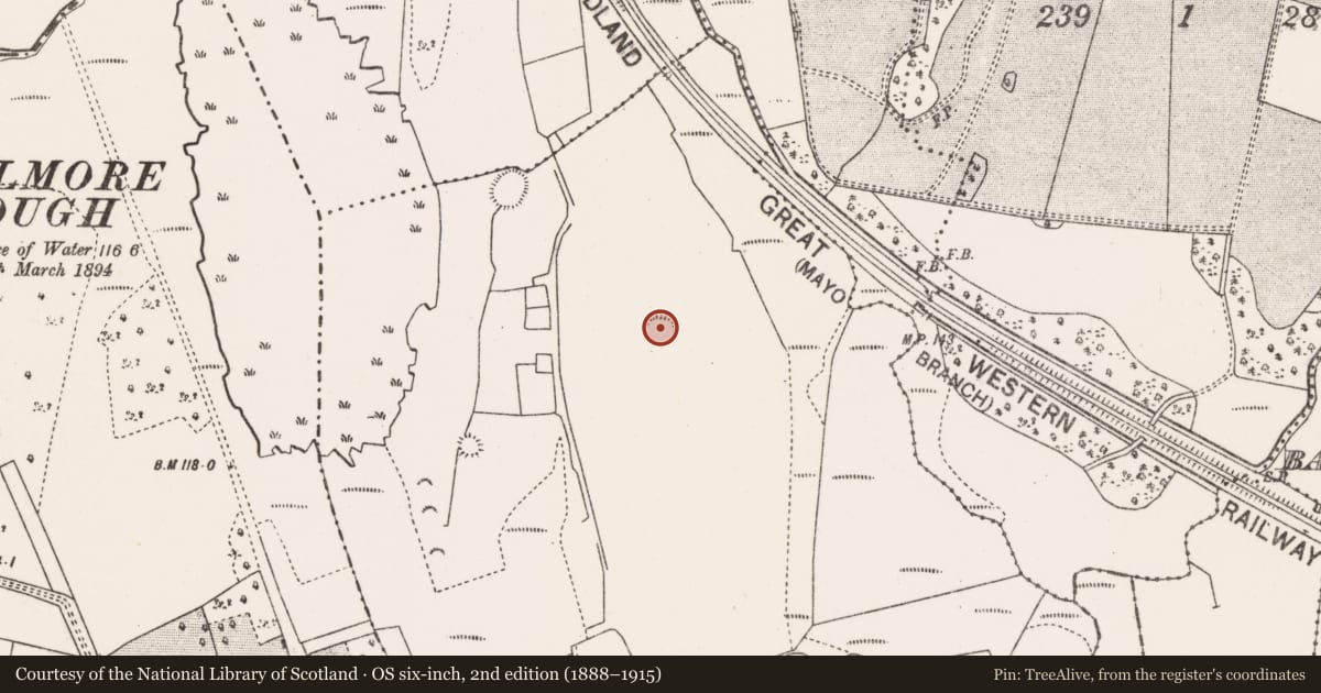 Ordnance Survey six-inch map, 2nd edition (1888–1915) covering the location of Ringfort - rath, Tully More, County Mayo, with a pin at the register's coordinates