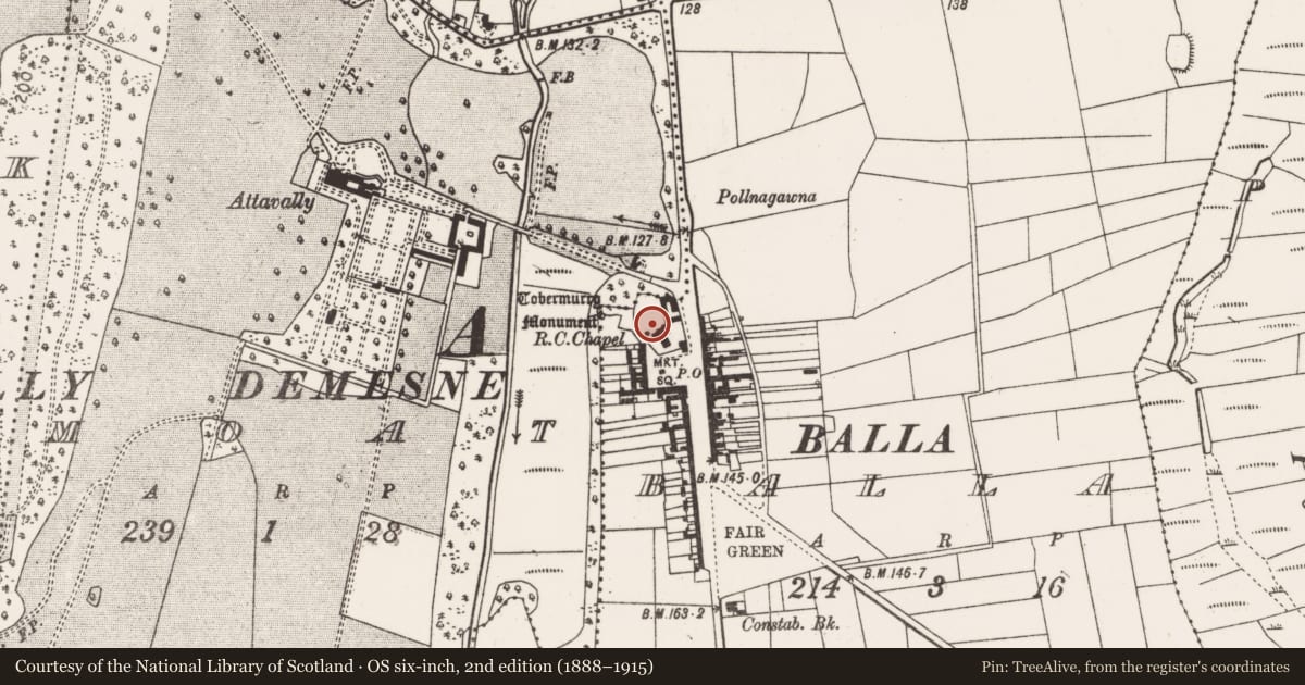 Ordnance Survey six-inch map, 2nd edition (1888–1915) covering the location of Graveyard, Balla, County Mayo, with a pin at the register's coordinates