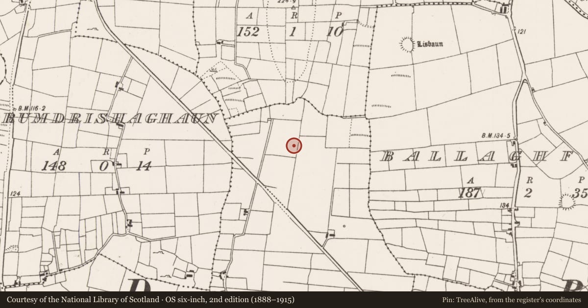 Ordnance Survey six-inch map, 2nd edition (1888–1915) covering the location of Ringfort - rath, Carrowjames, County Mayo, with a pin at the register's coordinates