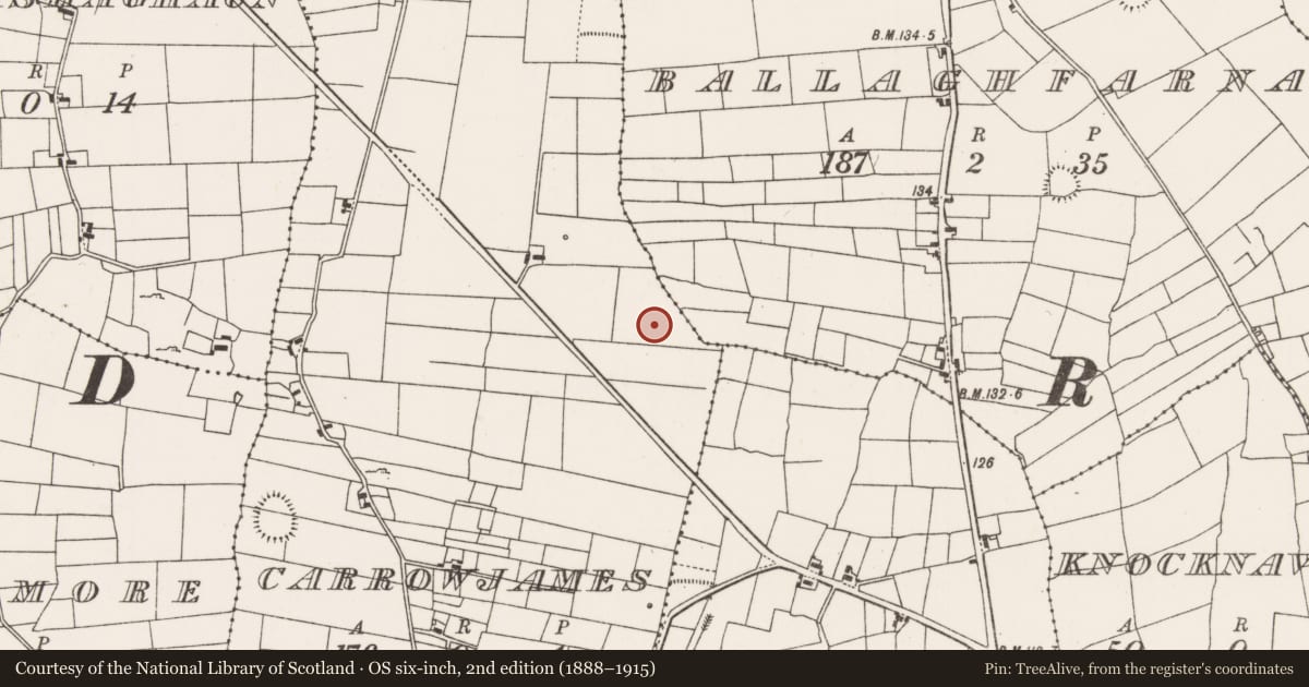 Ordnance Survey six-inch map, 2nd edition (1888–1915) covering the location of Barrow - ditch barrow, Carrowjames, County Mayo, with a pin at the register's coordinates
