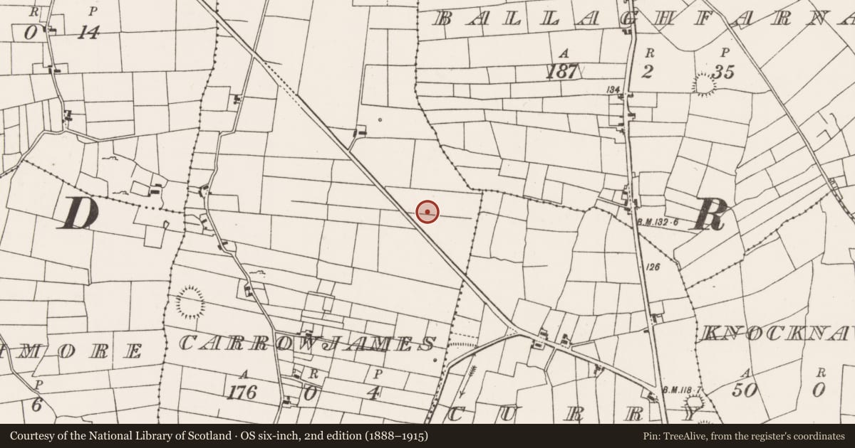 Ordnance Survey six-inch map, 2nd edition (1888–1915) covering the location of Barrow - ring-barrow, Carrowjames, County Mayo, with a pin at the register's coordinates