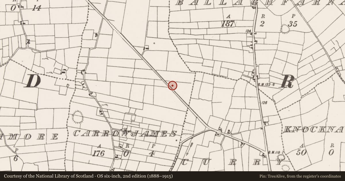Ordnance Survey six-inch map, 2nd edition (1888–1915) covering the location of Barrow - ditch barrow, Carrowjames, County Mayo, with a pin at the register's coordinates