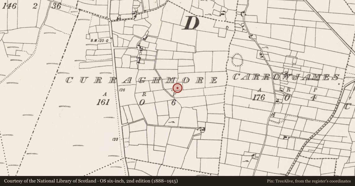 Ordnance Survey six-inch map, 2nd edition (1888–1915) covering the location of Enclosure, Curraghmore, County Mayo, with a pin at the register's coordinates