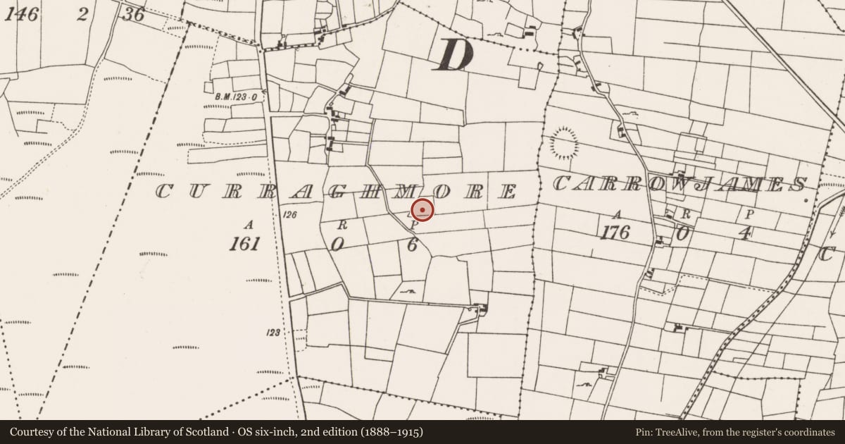 Ordnance Survey six-inch map, 2nd edition (1888–1915) covering the location of Souterrain, Curraghmore, County Mayo, with a pin at the register's coordinates
