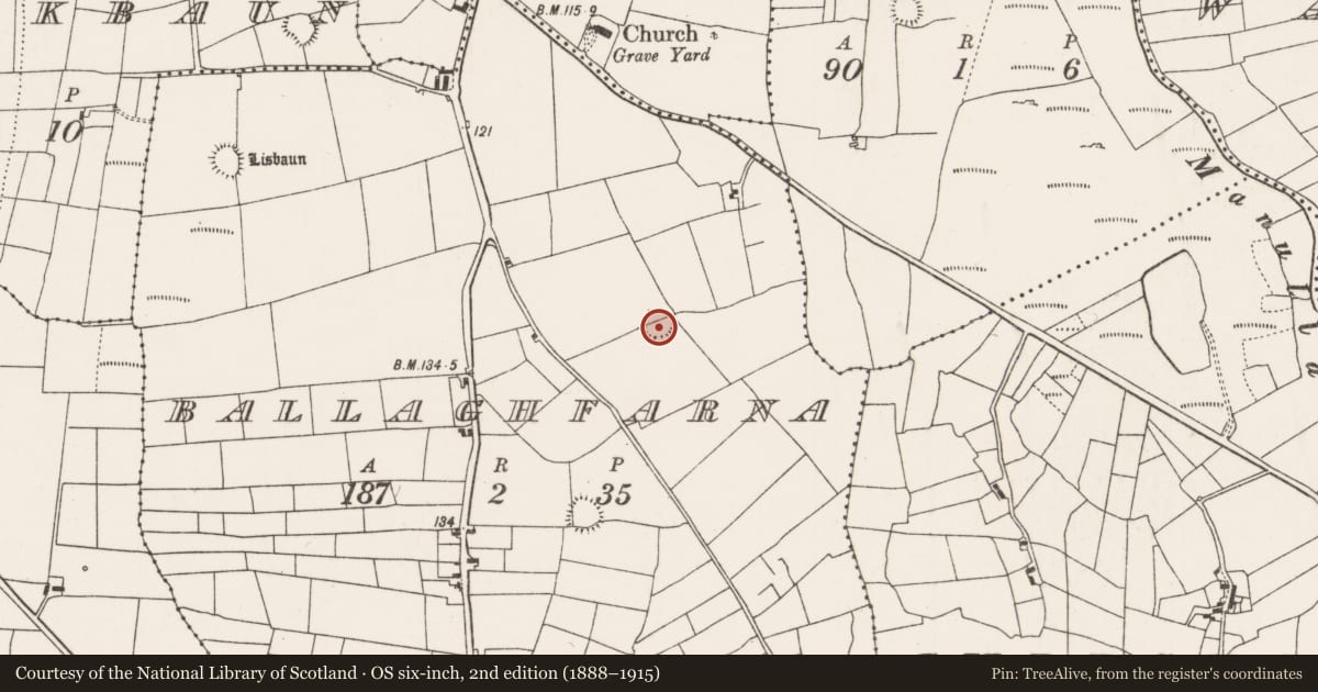 Ordnance Survey six-inch map, 2nd edition (1888–1915) covering the location of Ringfort - rath, Ballaghfarna, County Mayo, with a pin at the register's coordinates