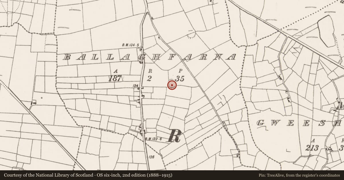 Ordnance Survey six-inch map, 2nd edition (1888–1915) covering the location of Ringfort - rath, Ballaghfarna, County Mayo, with a pin at the register's coordinates