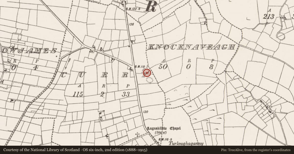 Ordnance Survey six-inch map, 2nd edition (1888–1915) covering the location of Souterrain, Curry (Carra By., Drum Par.), County Mayo, with a pin at the register's coordinates