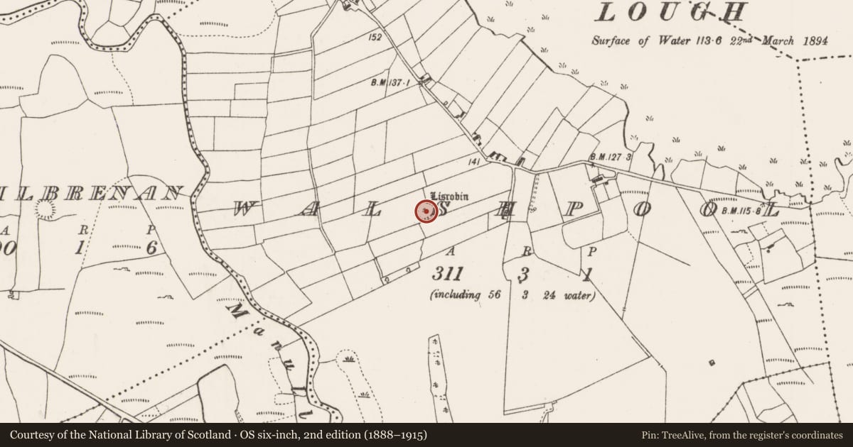 Ordnance Survey six-inch map, 2nd edition (1888–1915) covering the location of Ringfort - rath, Walshpool, County Mayo, with a pin at the register's coordinates