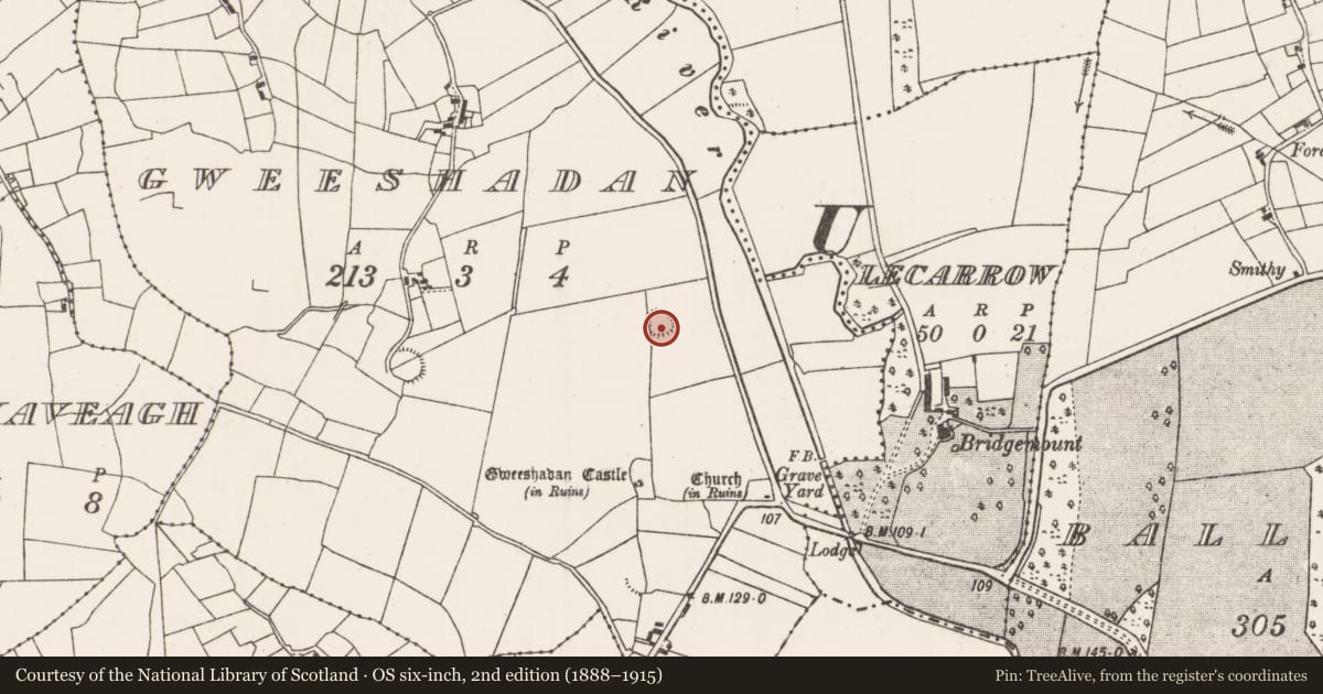 Ordnance Survey six-inch map, 2nd edition (1888–1915) covering the location of Ringfort - rath, Gweeshadan, County Mayo, with a pin at the register's coordinates