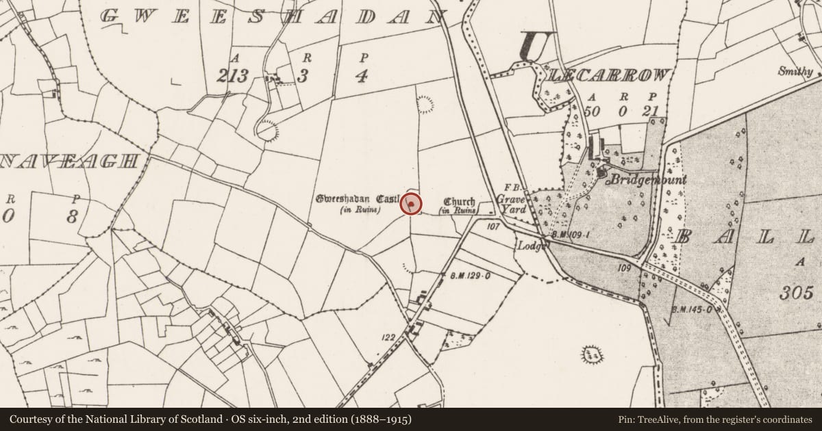 Ordnance Survey six-inch map, 2nd edition (1888–1915) covering the location of Castle - unclassified, Gweeshadan, County Mayo, with a pin at the register's coordinates