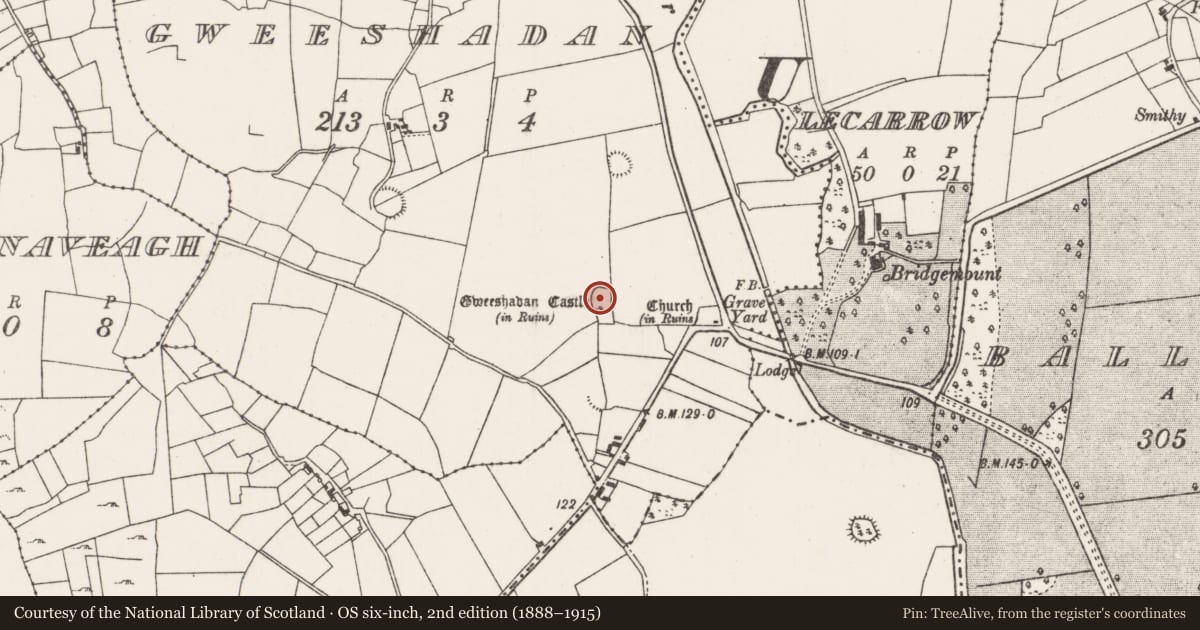 Ordnance Survey six-inch map, 2nd edition (1888–1915) covering the location of Bawn, Gweeshadan, County Mayo, with a pin at the register's coordinates