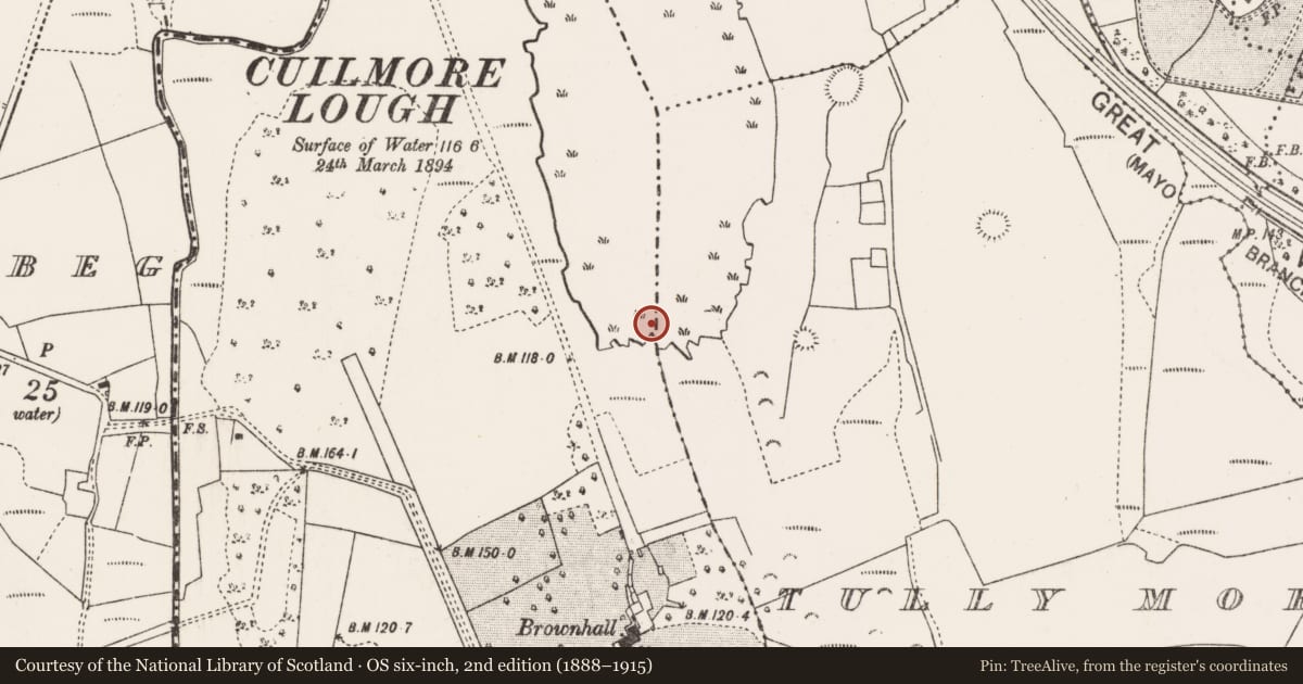 Ordnance Survey six-inch map, 2nd edition (1888–1915) covering the location of Crannog, Brownhall Demesne, Tully More, County Mayo, with a pin at the register's coordinates