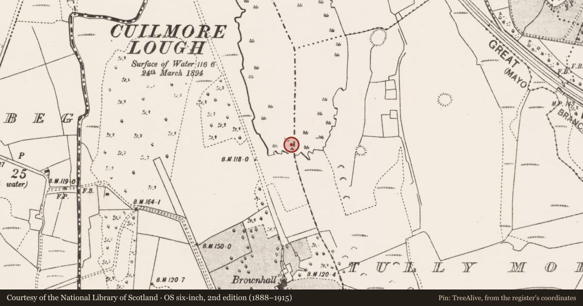 Ordnance Survey six-inch map, 2nd edition (1888–1915) covering the location of House - indeterminate date, Brownhall Demesne, Tully More, County Mayo, with a pin at the register's coordinates