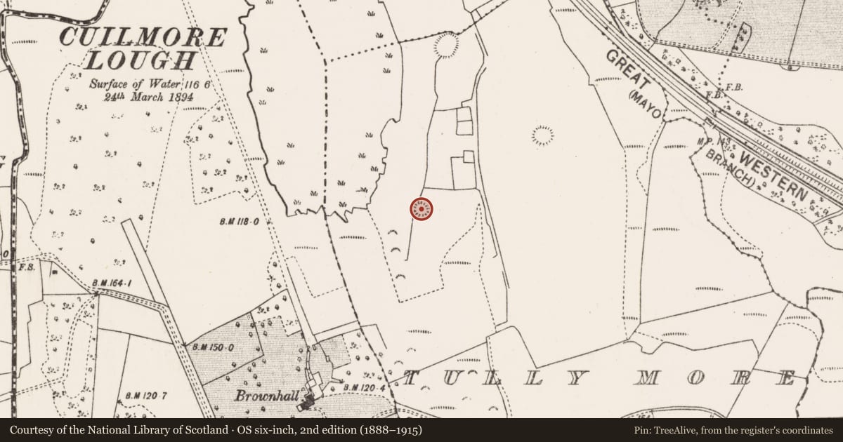 Ordnance Survey six-inch map, 2nd edition (1888–1915) covering the location of Ringfort - rath, Tully More, County Mayo, with a pin at the register's coordinates