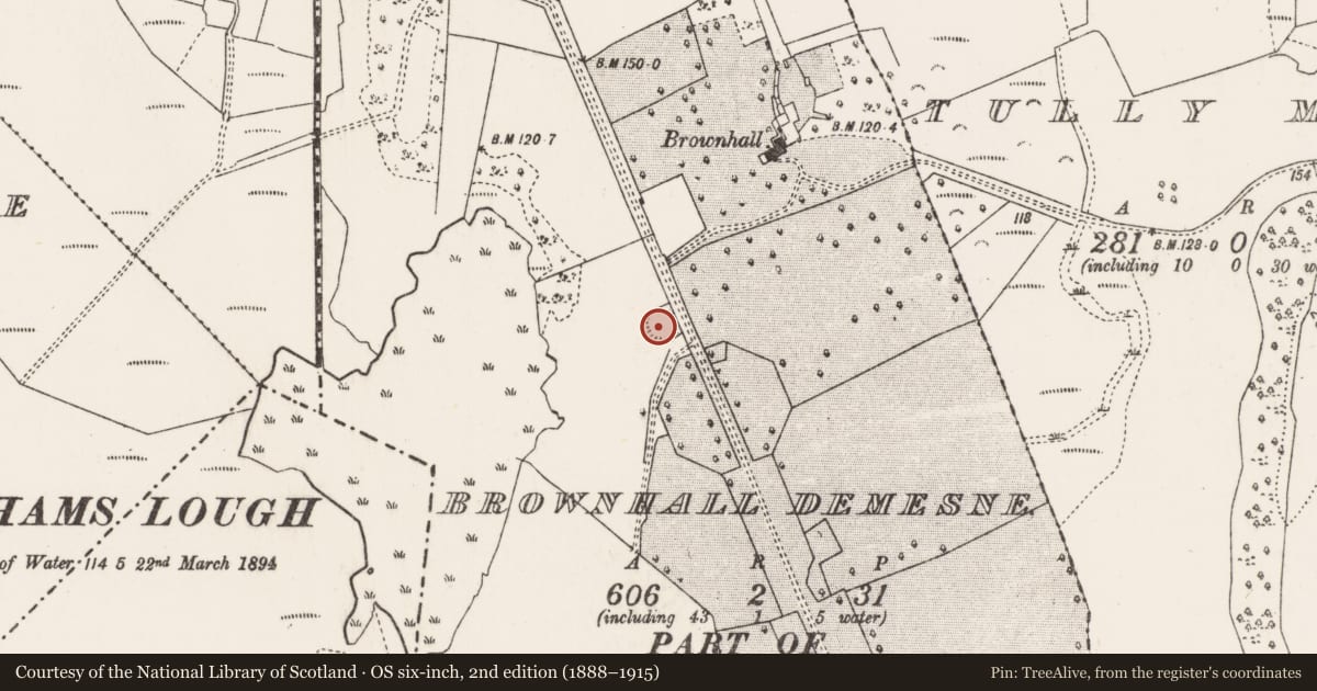 Ordnance Survey six-inch map, 2nd edition (1888–1915) covering the location of Ringfort - rath, Brownhall Demesne, County Mayo, with a pin at the register's coordinates