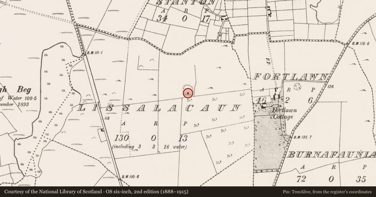 Ordnance Survey six-inch map, 2nd edition (1888–1915) covering the location of Ringfort - rath, Lissalacaun, County Mayo, with a pin at the register's coordinates