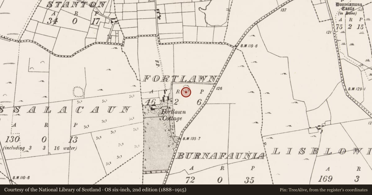 Ordnance Survey six-inch map, 2nd edition (1888–1915) covering the location of Ringfort - rath, Fortlawn, County Mayo, with a pin at the register's coordinates