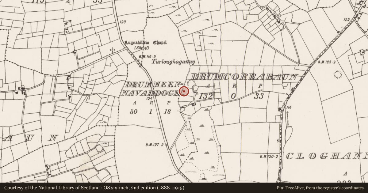 Ordnance Survey six-inch map, 2nd edition (1888–1915) covering the location of Ringfort - rath, Drumcorrabaun (Carra By., Drum Par.), County Mayo, with a pin at the register's coordinates