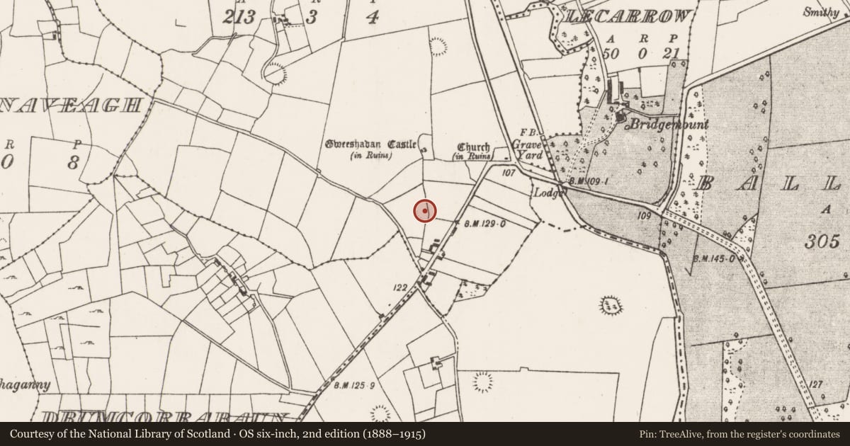 Ordnance Survey six-inch map, 2nd edition (1888–1915) covering the location of Ringfort - rath, Gweeshadan, County Mayo, with a pin at the register's coordinates
