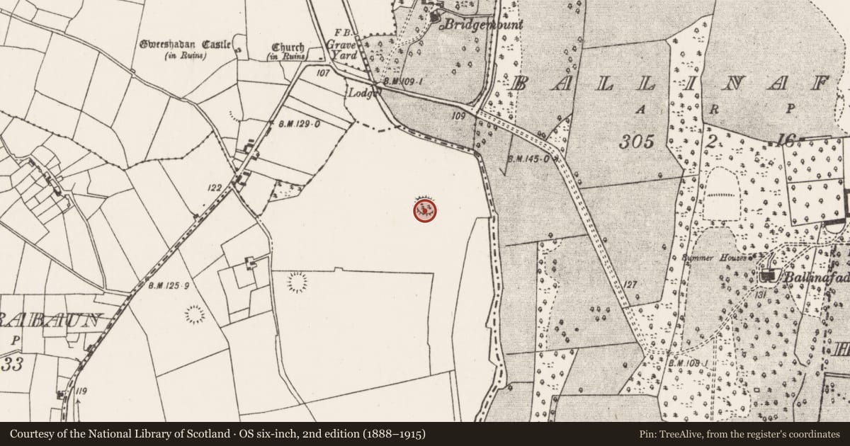 Ordnance Survey six-inch map, 2nd edition (1888–1915) covering the location of Ringfort - rath, Cloghannageeragh, County Mayo, with a pin at the register's coordinates