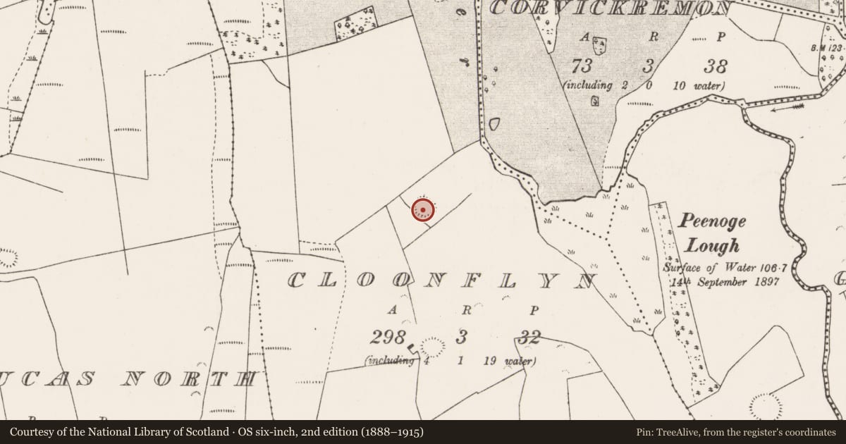 Ordnance Survey six-inch map, 2nd edition (1888–1915) covering the location of Ringfort - rath, Cloonflyn, County Mayo, with a pin at the register's coordinates