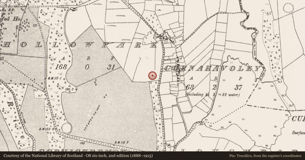 Ordnance Survey six-inch map, 2nd edition (1888–1915) covering the location of Ringfort - rath, Hollowpark, County Mayo, with a pin at the register's coordinates