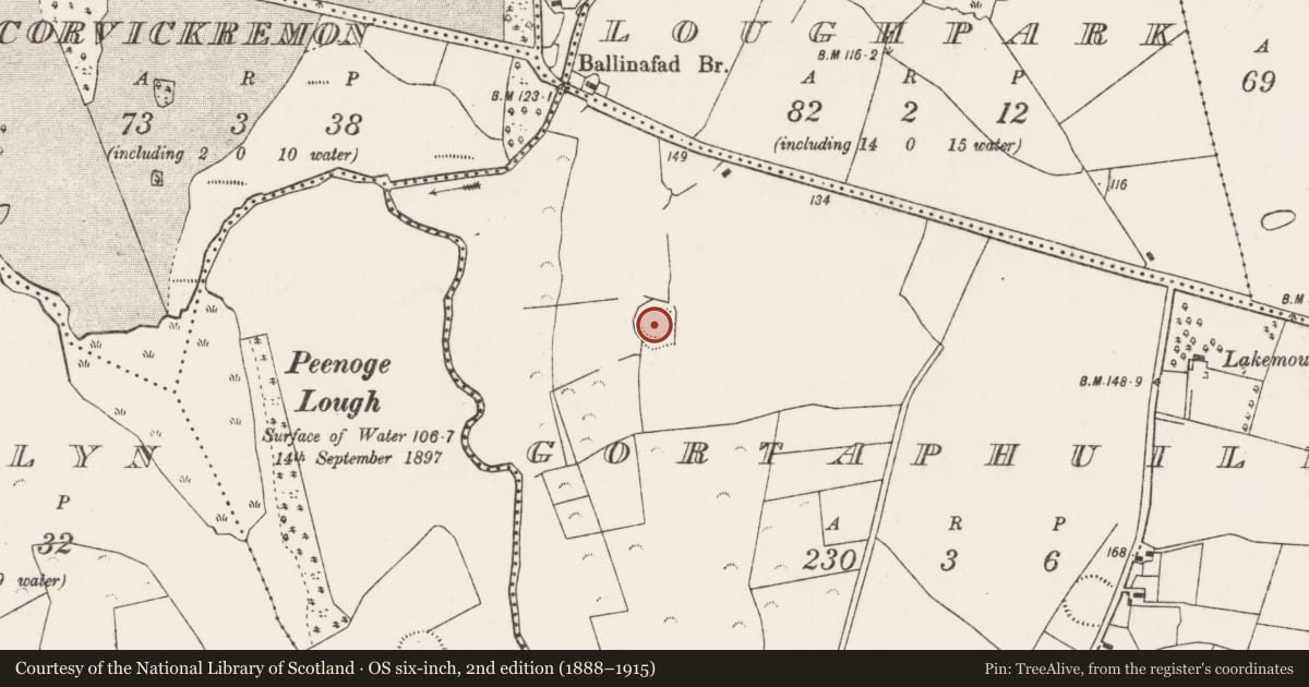 Ordnance Survey six-inch map, 2nd edition (1888–1915) covering the location of Souterrain, Gortaphuill, County Mayo, with a pin at the register's coordinates