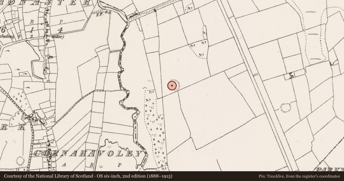 Ordnance Survey six-inch map, 2nd edition (1888–1915) covering the location of Ringfort - rath, Brownhall Demesne, County Mayo, with a pin at the register's coordinates