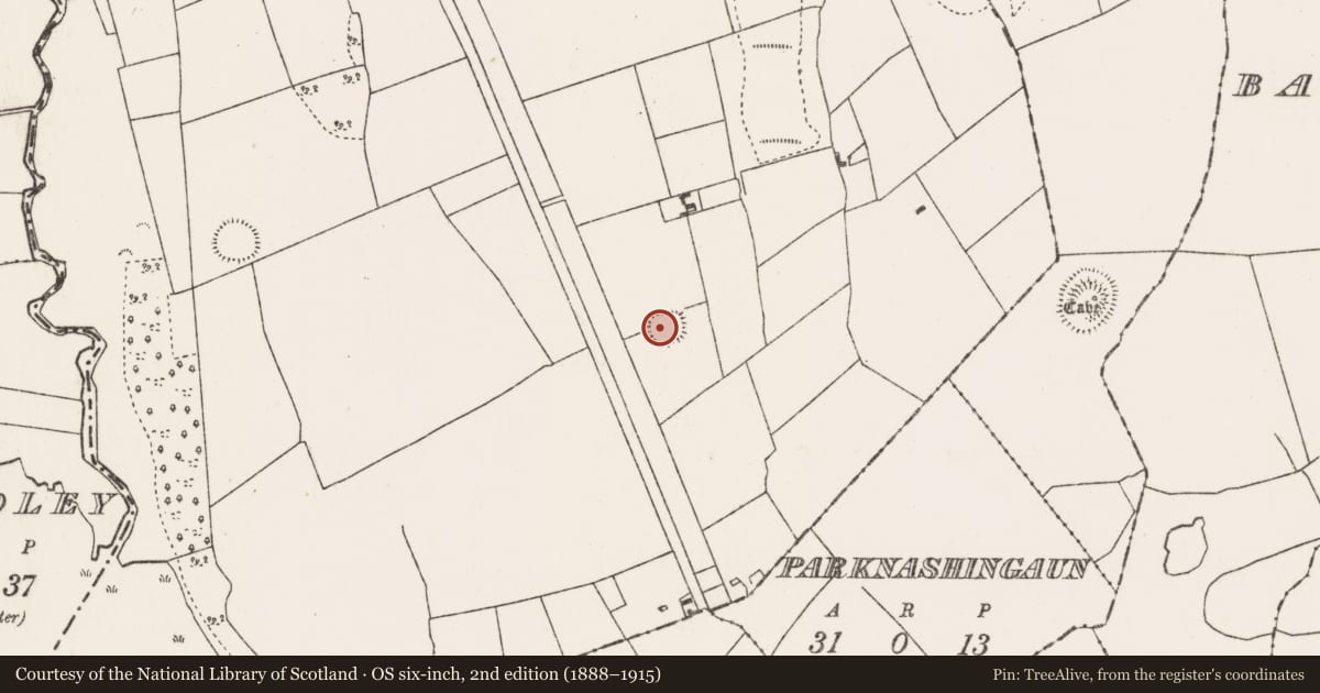 Ordnance Survey six-inch map, 2nd edition (1888–1915) covering the location of Ringfort - rath, Brownhall Demesne, County Mayo, with a pin at the register's coordinates