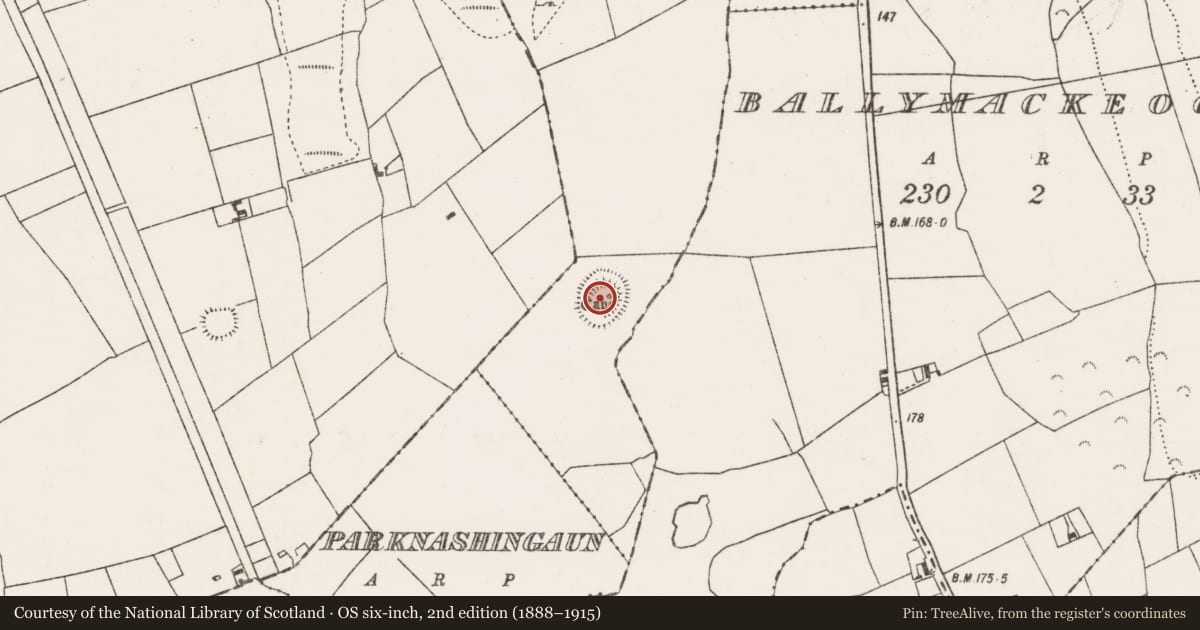 Ordnance Survey six-inch map, 2nd edition (1888–1915) covering the location of Souterrain, Shanrawy, County Mayo, with a pin at the register's coordinates
