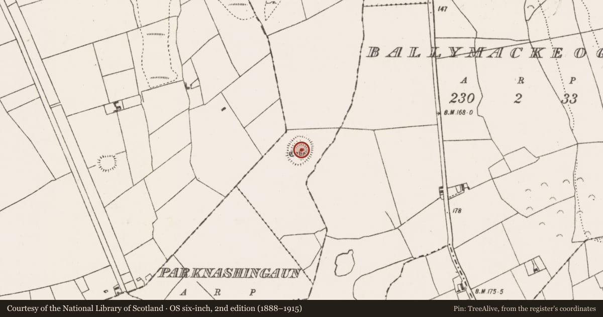 Ordnance Survey six-inch map, 2nd edition (1888–1915) covering the location of Ringfort - rath, Shanrawy, County Mayo, with a pin at the register's coordinates