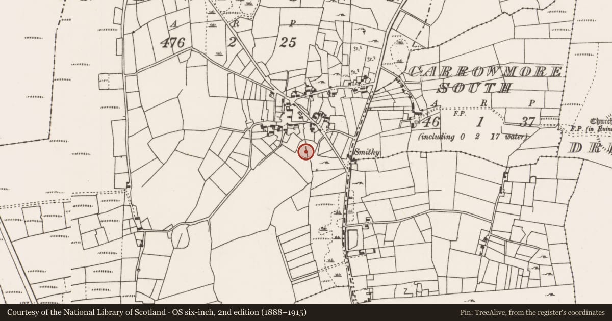 Ordnance Survey six-inch map, 2nd edition (1888–1915) covering the location of Enclosure, Newtown (Carra By., Burriscarra Par.), County Mayo, with a pin at the register's coordinates