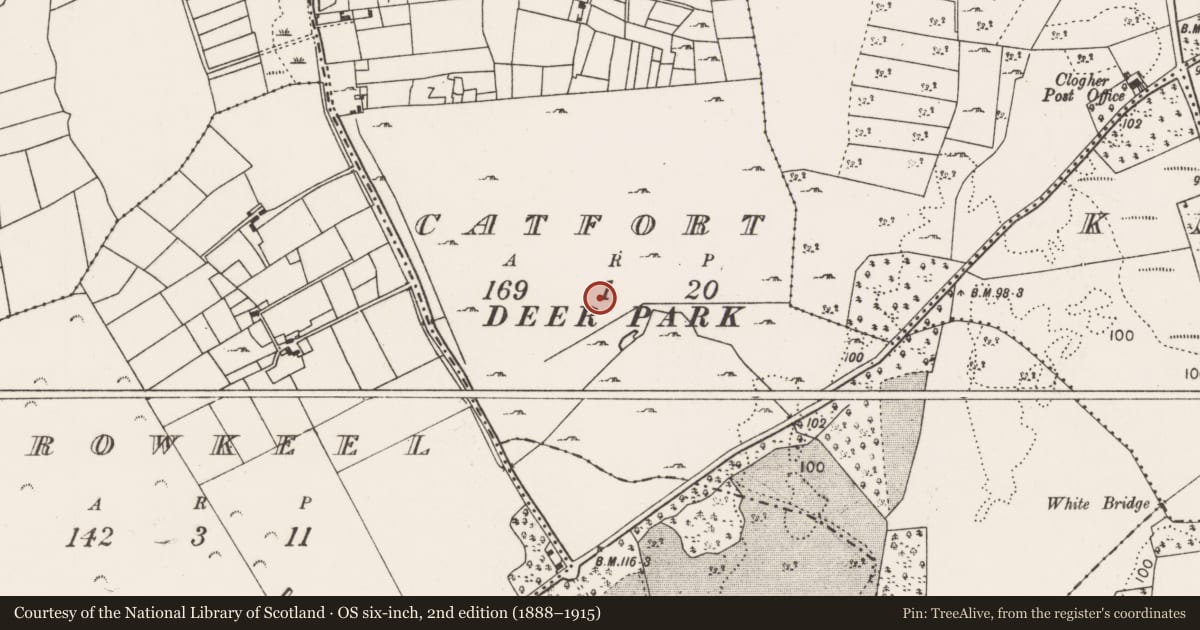 Ordnance Survey six-inch map, 2nd edition (1888–1915) covering the location of Enclosure, Catfort, County Mayo, with a pin at the register's coordinates