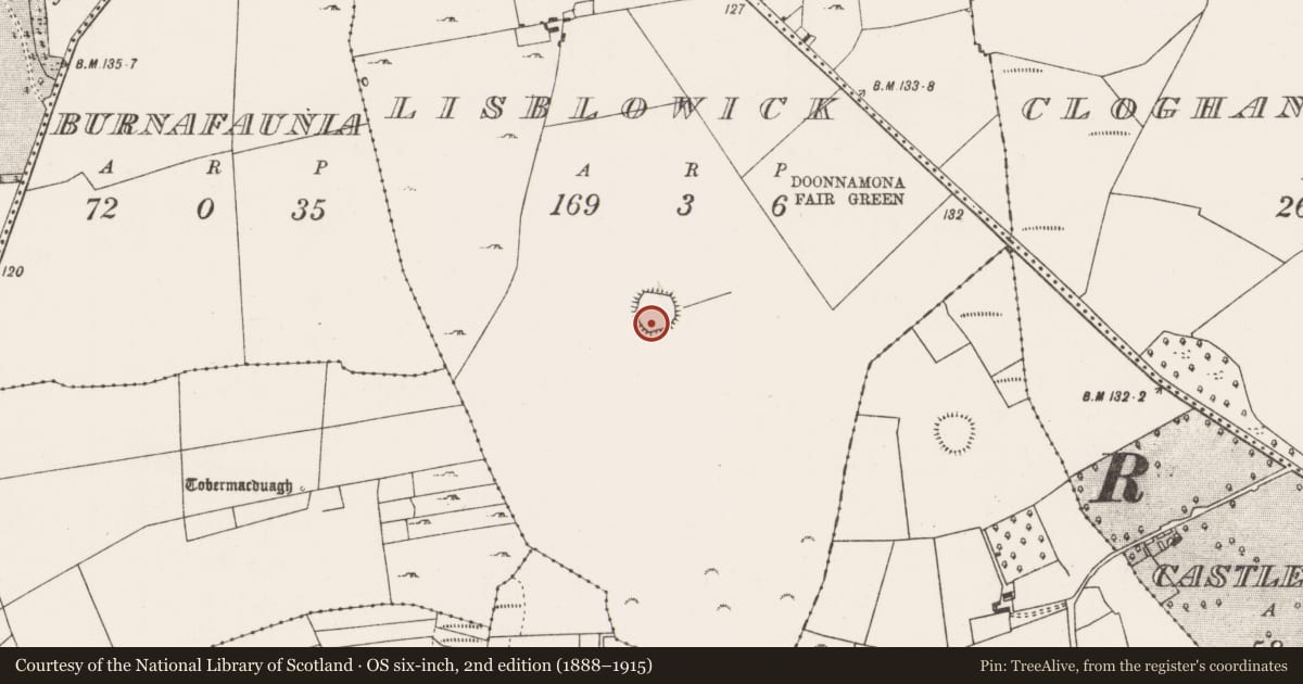 Ordnance Survey six-inch map, 2nd edition (1888–1915) covering the location of Ringfort - rath, Lisblowick, County Mayo, with a pin at the register's coordinates