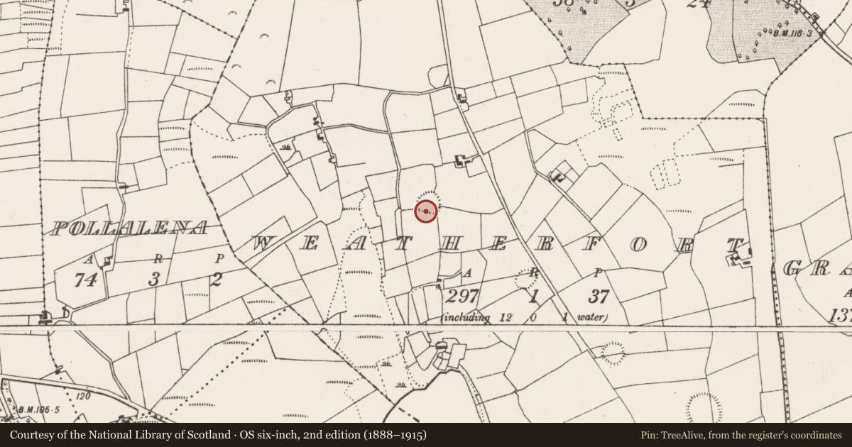 Ordnance Survey six-inch map, 2nd edition (1888–1915) covering the location of Ringfort - rath, Weatherfort, County Mayo, with a pin at the register's coordinates