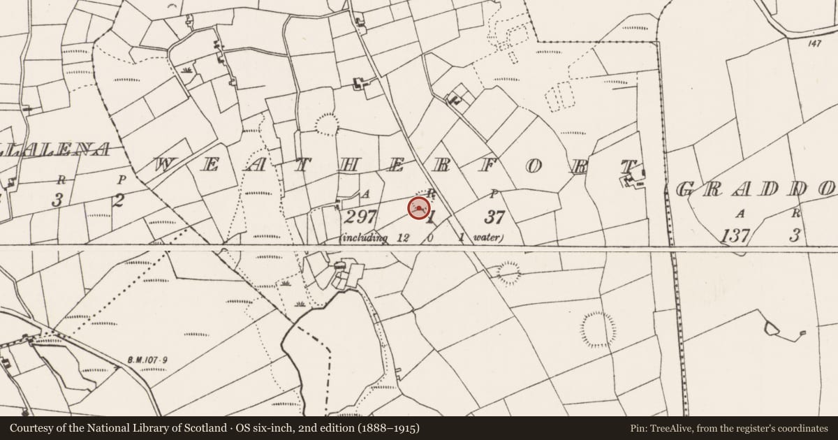 Ordnance Survey six-inch map, 2nd edition (1888–1915) covering the location of Ringfort - rath, Weatherfort, County Mayo, with a pin at the register's coordinates