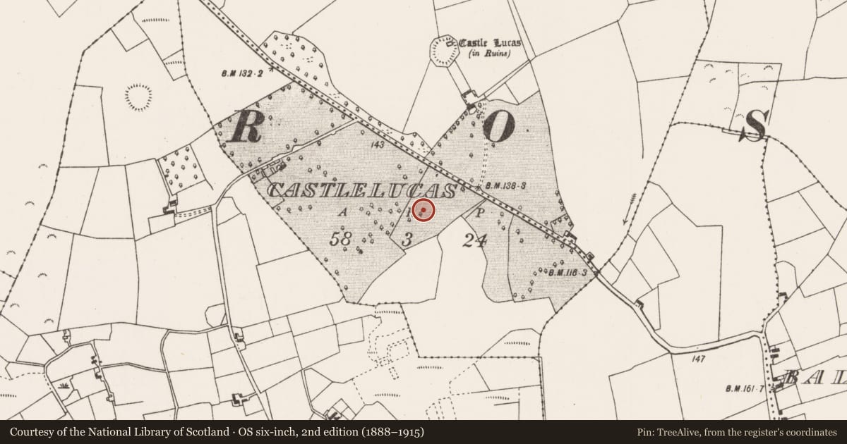 Ordnance Survey six-inch map, 2nd edition (1888–1915) covering the location of Enclosure, Castlelucas, County Mayo, with a pin at the register's coordinates