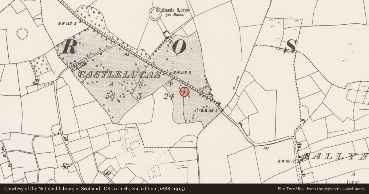 Ordnance Survey six-inch map, 2nd edition (1888–1915) covering the location of Ringfort - rath, Castlelucas, County Mayo, with a pin at the register's coordinates
