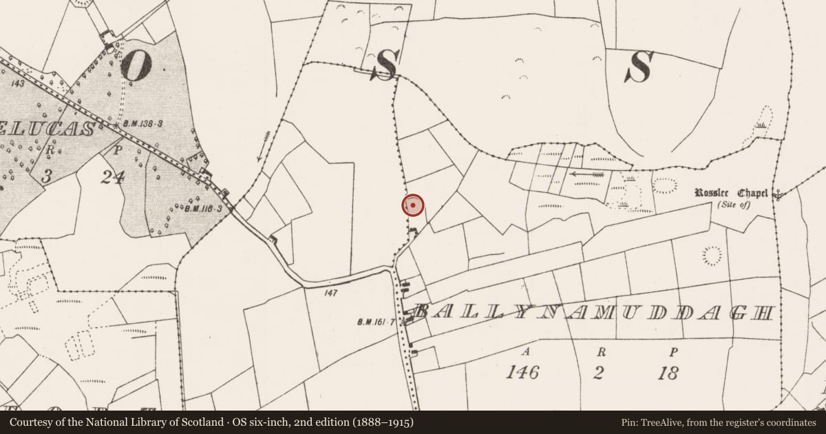 Ordnance Survey six-inch map, 2nd edition (1888–1915) covering the location of Ringfort - rath, Ballynamuddagh, County Mayo, with a pin at the register's coordinates