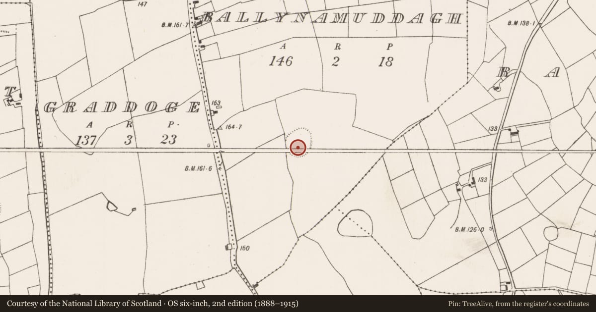 Ordnance Survey six-inch map, 2nd edition (1888–1915) covering the location of Ringfort - rath, Ballynamuddagh, County Mayo, with a pin at the register's coordinates