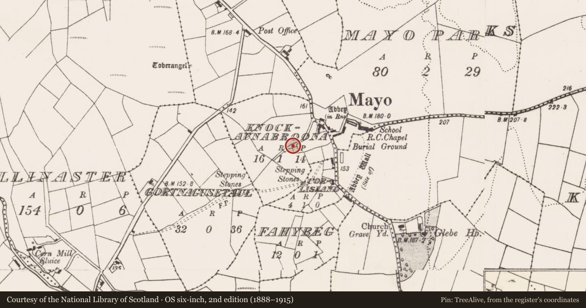 Ordnance Survey six-inch map, 2nd edition (1888–1915) covering the location of Ecclesiastical enclosure, County Mayo, with a pin at the register's coordinates