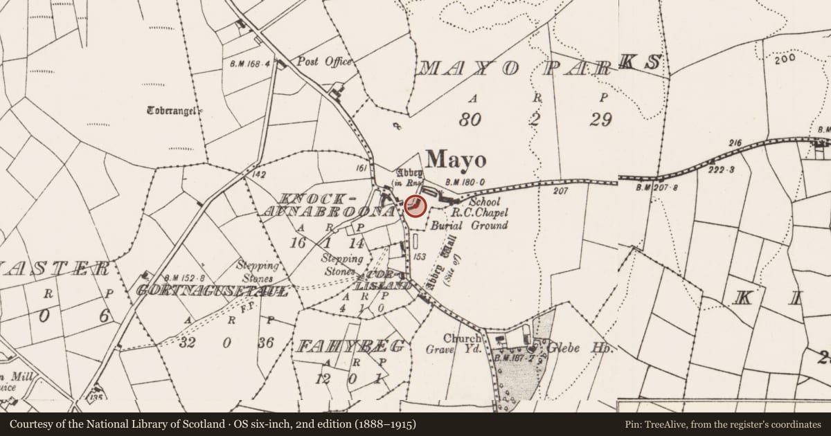 Ordnance Survey six-inch map, 2nd edition (1888–1915) covering the location of Graveslab, Mayo Parks, County Mayo, with a pin at the register's coordinates