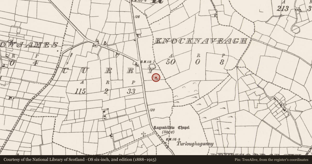 Ordnance Survey six-inch map, 2nd edition (1888–1915) covering the location of Ringfort - rath, Curry (Carra By., Drum Par.), County Mayo, with a pin at the register's coordinates