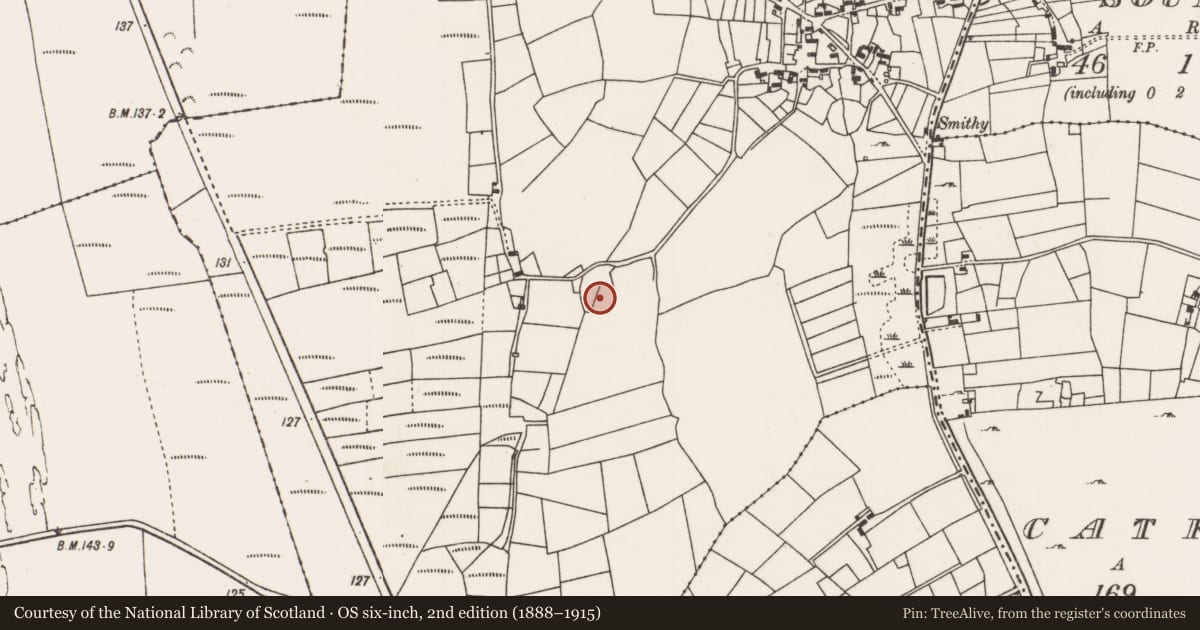 Ordnance Survey six-inch map, 2nd edition (1888–1915) covering the location of Enclosure, Newtown (Carra By., Burriscarra Par.), County Mayo, with a pin at the register's coordinates