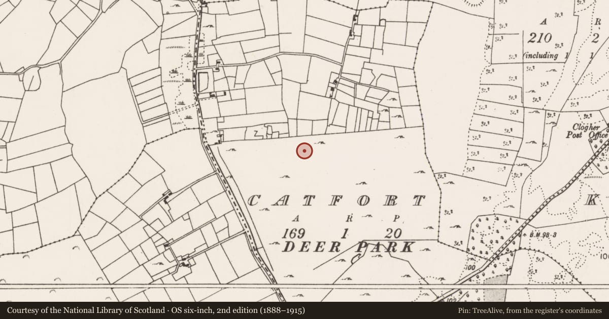 Ordnance Survey six-inch map, 2nd edition (1888–1915) covering the location of Earthwork, Catfort, County Mayo, with a pin at the register's coordinates