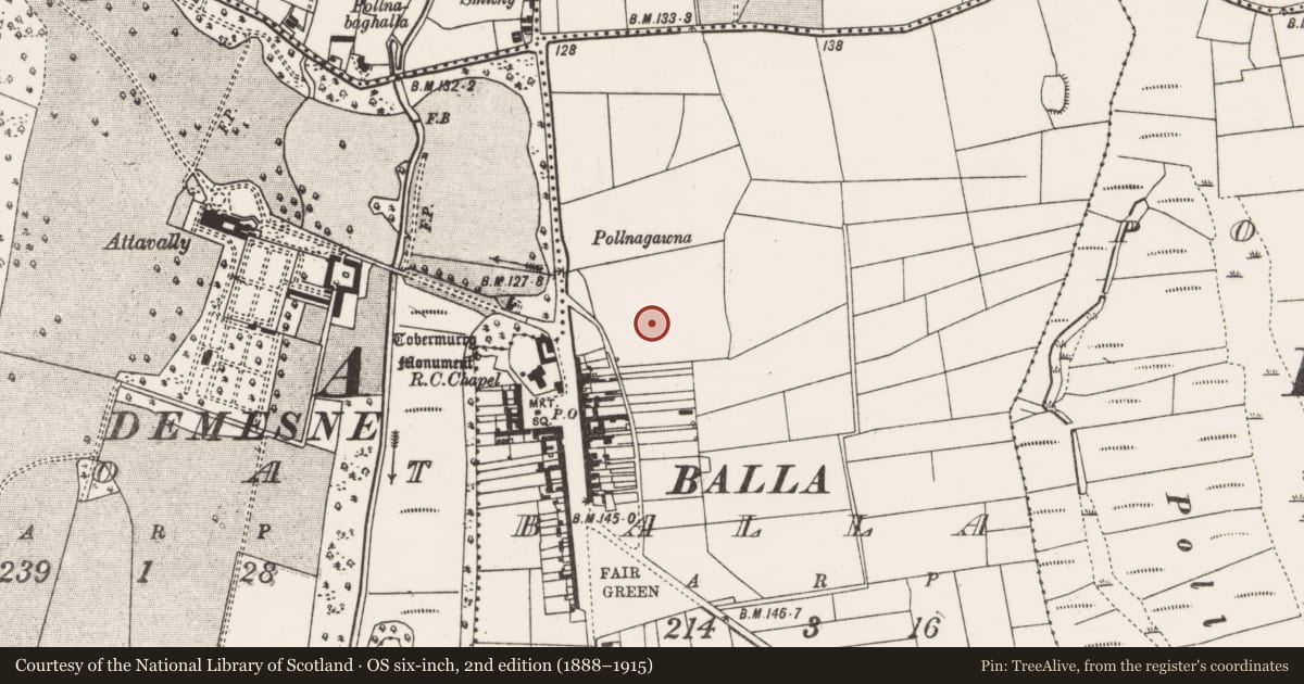 Ordnance Survey six-inch map, 2nd edition (1888–1915) covering the location of Moated site, Balla, County Mayo, with a pin at the register's coordinates